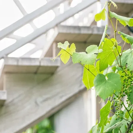 Dom Nad Lubie Villa *