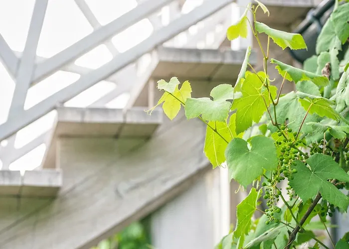 Dom Nad Lubie Villa *